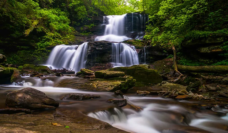 Tuscarora State Park
